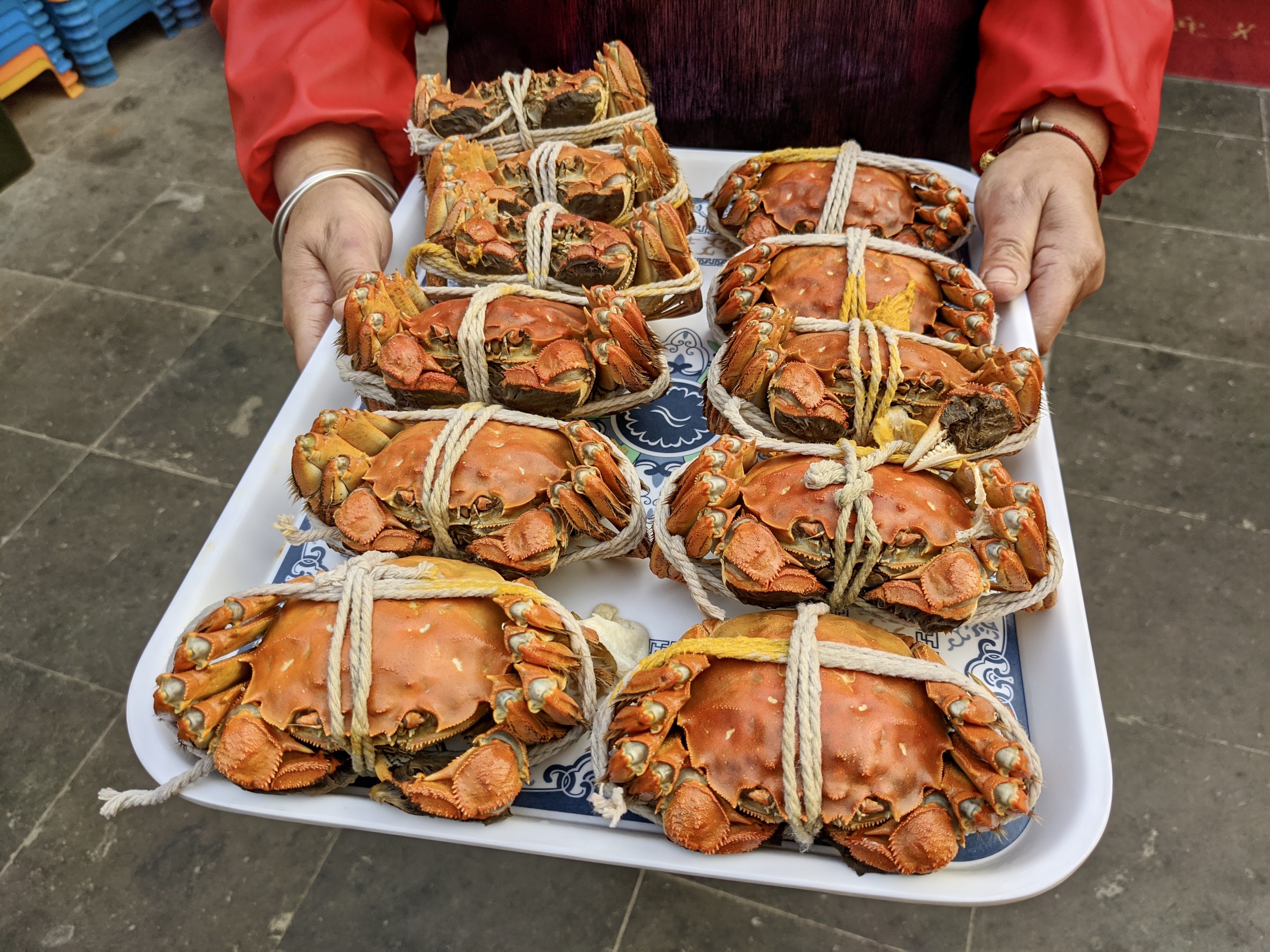 今が旬の 上海蟹 を食べに中国へ 一流シェフが即興で上海蟹料理を披露する贅沢な宴に T E R I Y A K I