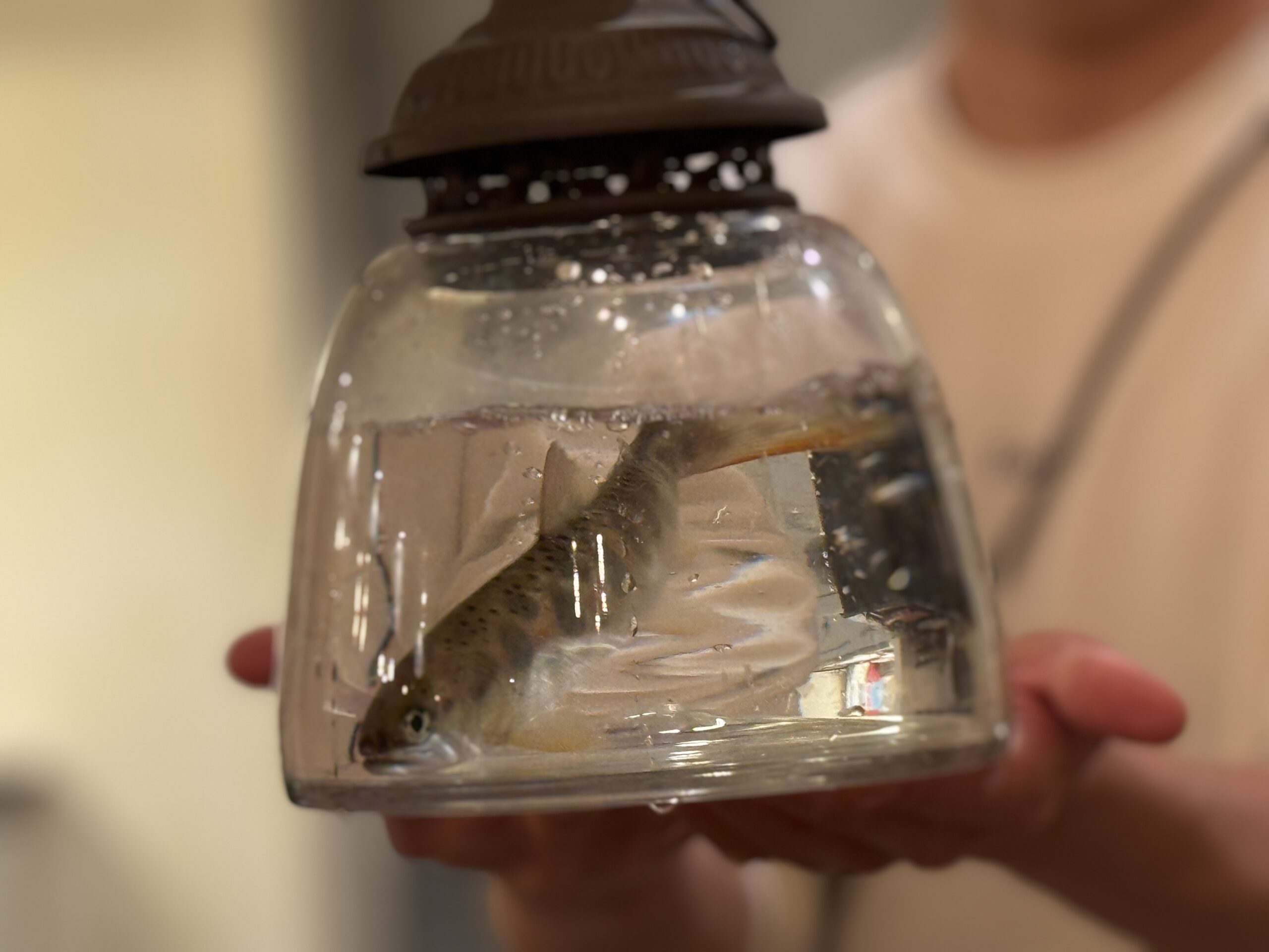 土 〜じゃがいも〜